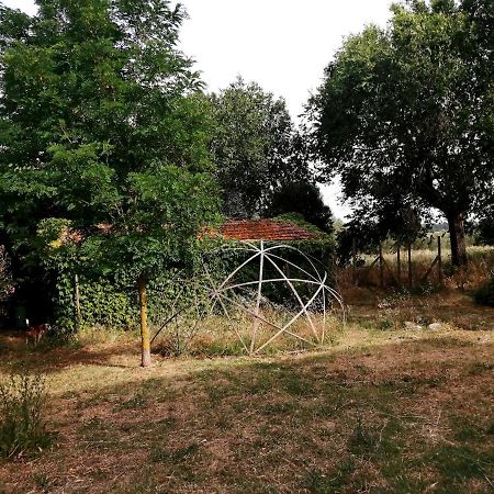 Da Pino Guest House Montemerano Eksteriør bilde