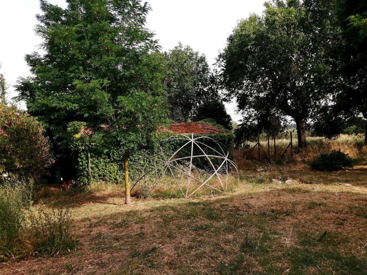 Da Pino Guest House Montemerano Eksteriør bilde