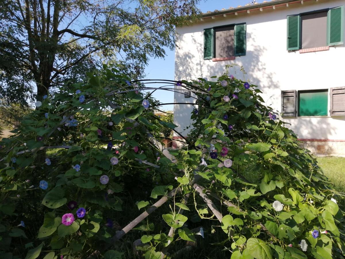 Da Pino Guest House Montemerano Eksteriør bilde