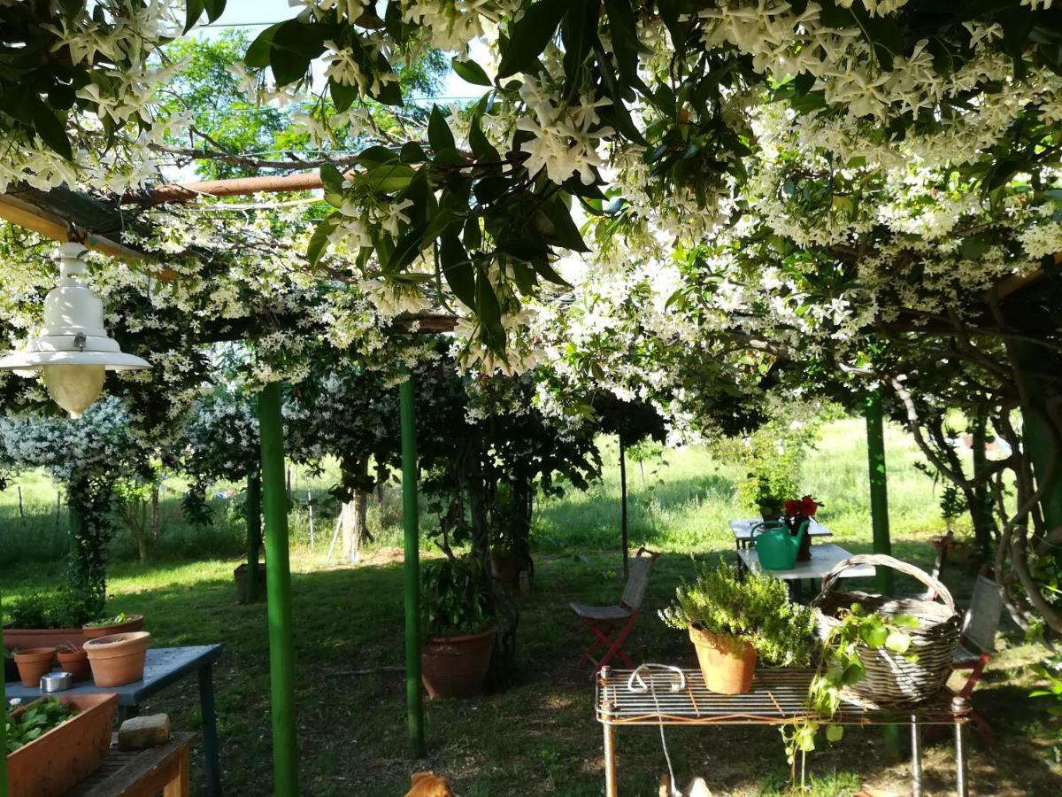 Da Pino Guest House Montemerano Eksteriør bilde